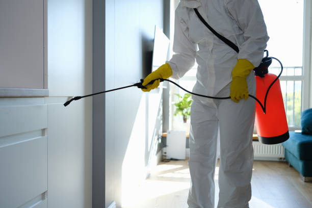 Best Mold Testing  in Brownwood, TX